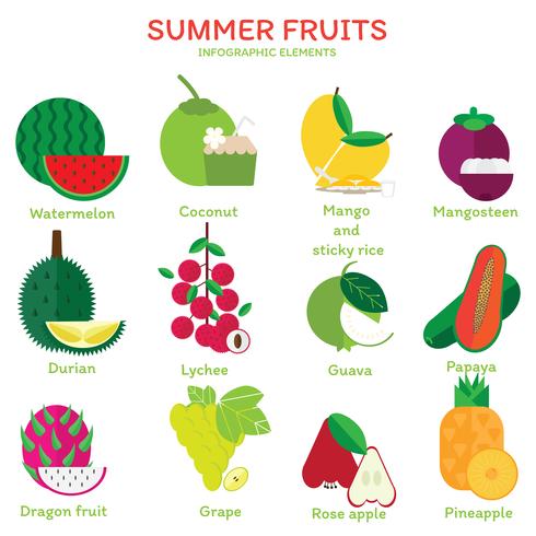 Elementos de frutas de verão vetor