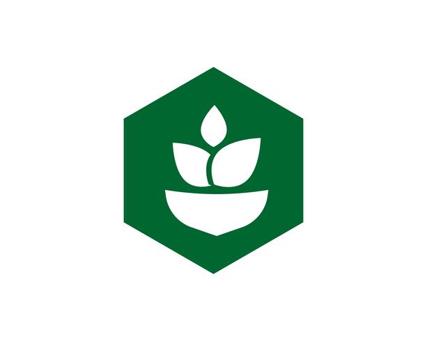 Imagem de vetor verde único negócio agricultura logotipo modelo