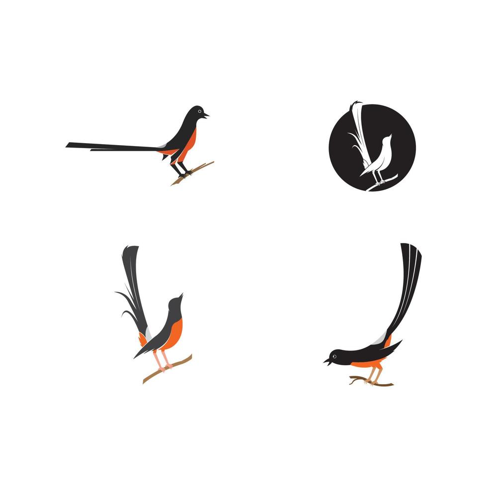 vetor de logotipo de ilustração de pássaro murai