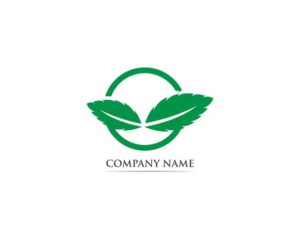 Logotipo de folha de hortelã e símbolo vector