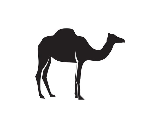 Vetor de modelo de logotipo de camelo