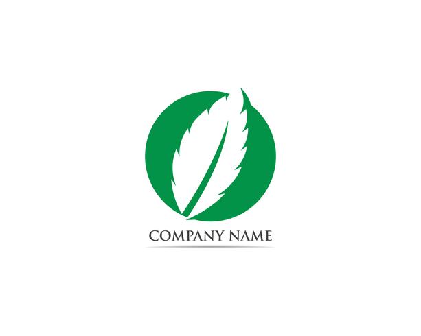 Logotipo de folha de hortelã e símbolo vector