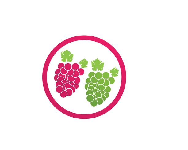 ilustração em vetor roxo e verde uva