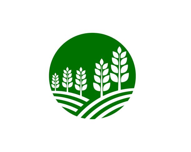 Imagem de vetor verde único negócio agricultura logotipo modelo