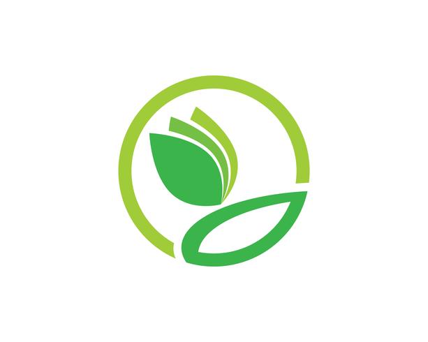 Imagem de vetor verde único negócio agricultura logotipo modelo