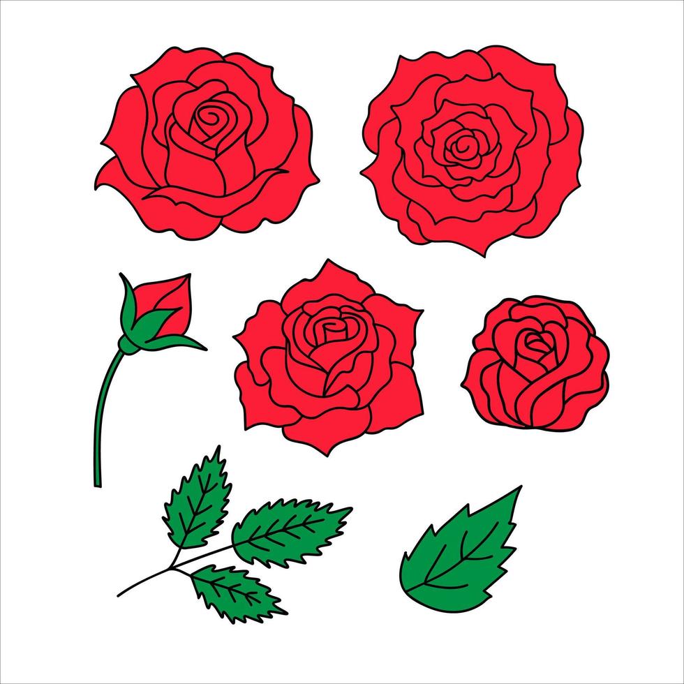conjunto de vetores de rosas vermelhas isoladas em um fundo branco