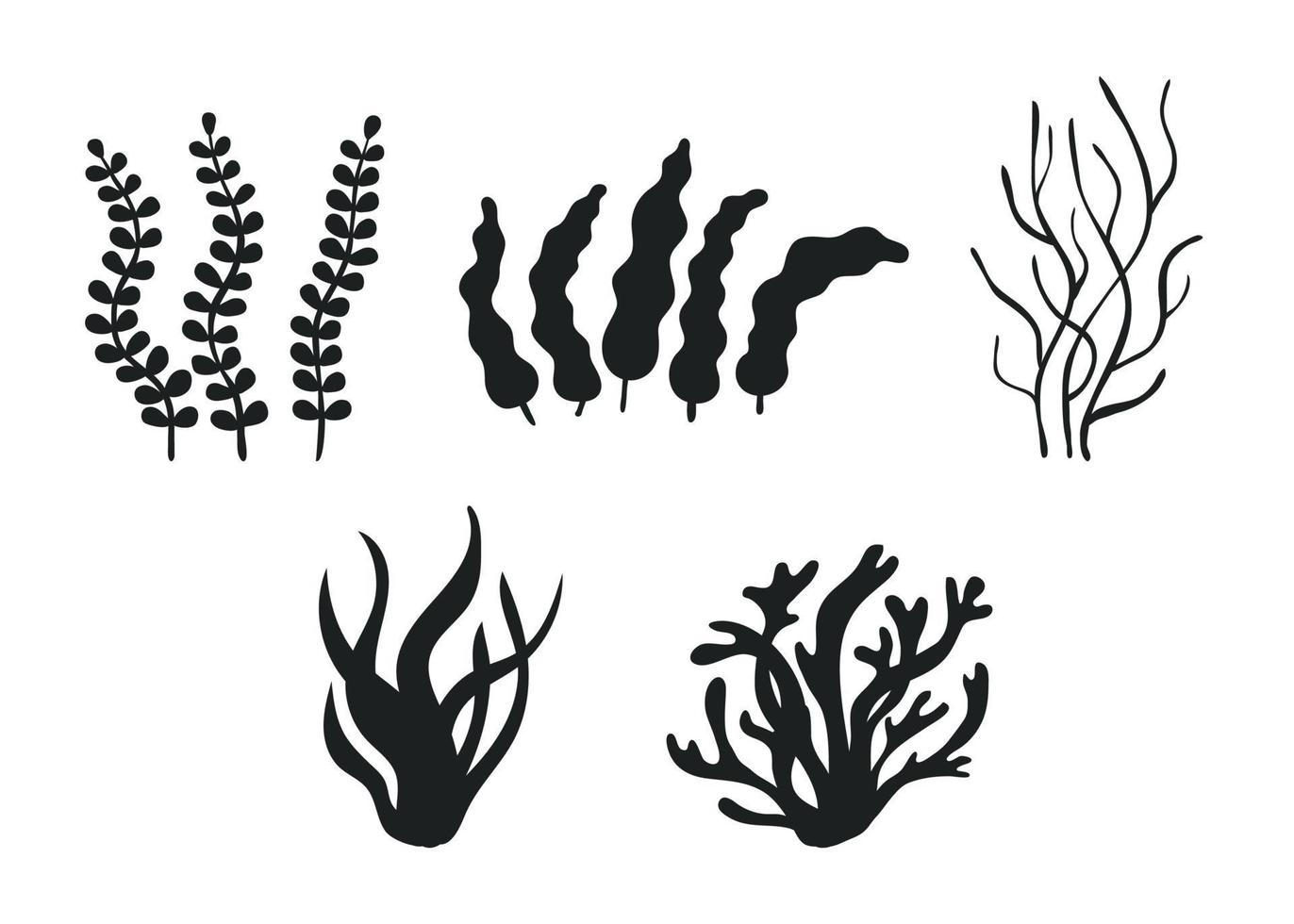 conjunto de diferentes plantas marinhas subaquáticas, algas e algas pretas silhueta. algas comestíveis e folhas. plantas de aquário. ilustração de contorno vetorial vetor