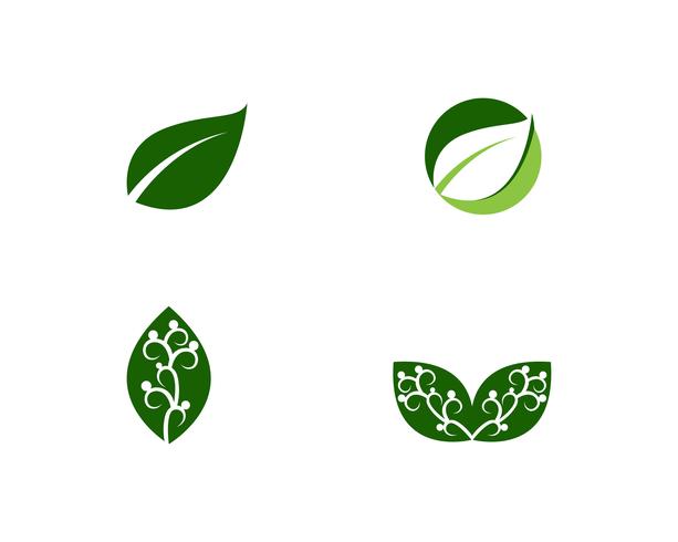 vetor de elemento de natureza ecologia folha verde