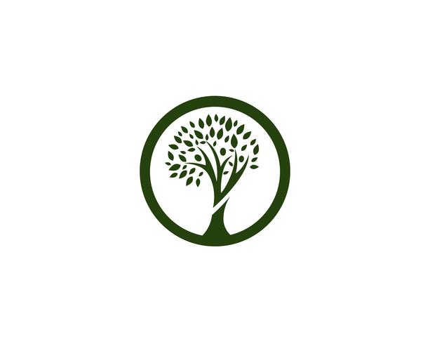 vetor de modelo de logotipo de árvore genealógica
