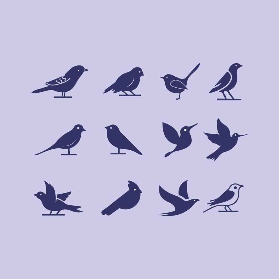 conjunto de design de logotipo de pássaro vetor