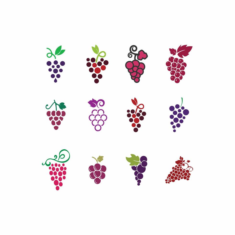 conjunto de design de logotipo de uvas vetor