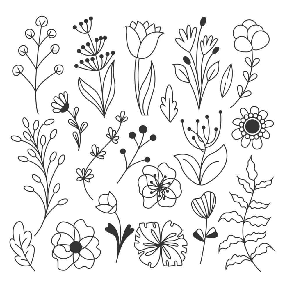 grande conjunto de vetores de flores. flor desenhada à mão e doodle de ramo. ramos, pétalas, plantas com flores e outros. esboço preto e branco de buquês, folhas românticas. isolado no fundo branco