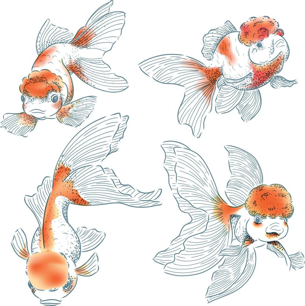 vetor de ilustração de peixinho dourado em fundo branco