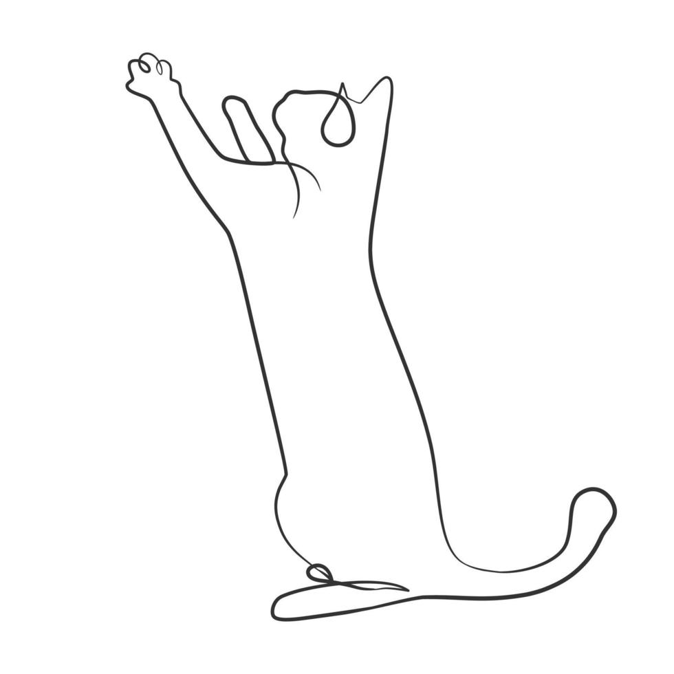 desenho de linha contínua de gato fofo vetor