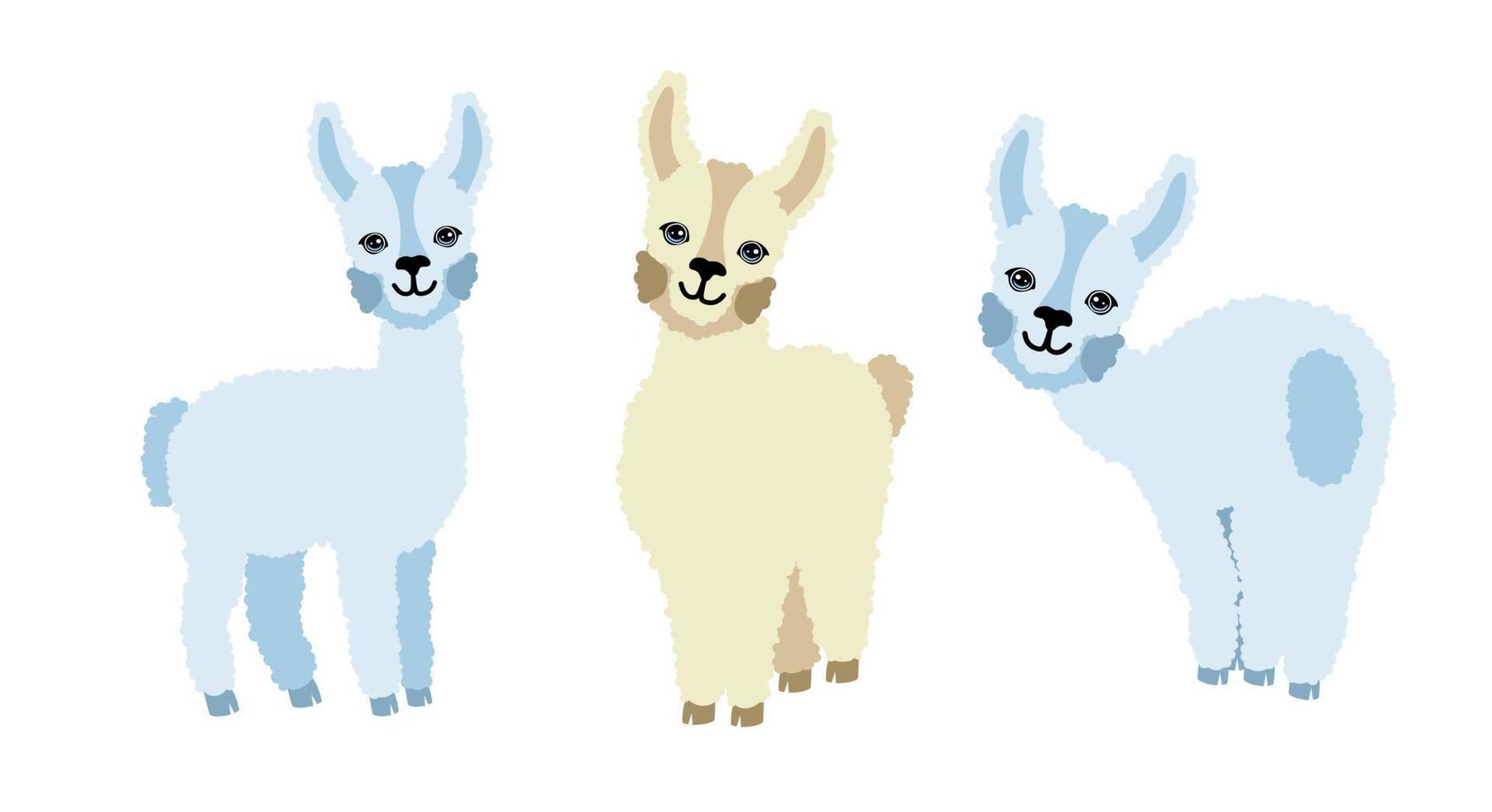 lhamas de alpaca conjunto de três em um fundo branco. para impressão em têxteis, lembranças e cartazes. ilustração vetorial. vetor
