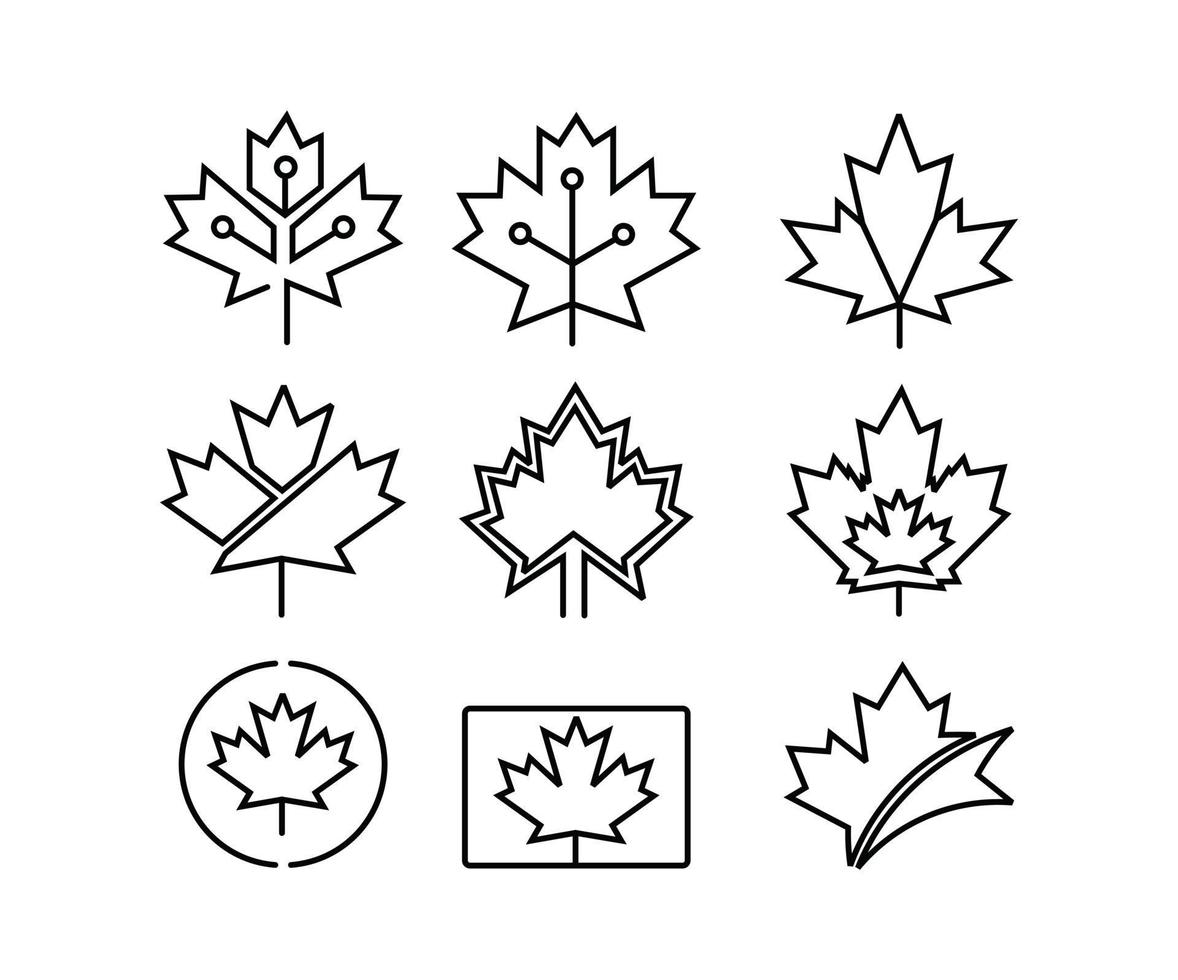emblema nacional do Canadá, maple leaf símbolo significado gradiente linear ícones do vetor definido.