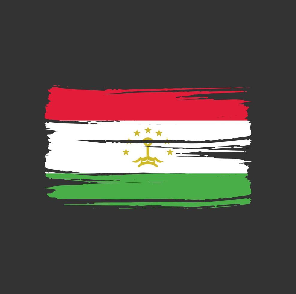 pincel de bandeira do tajiquistão. bandeira nacional vetor