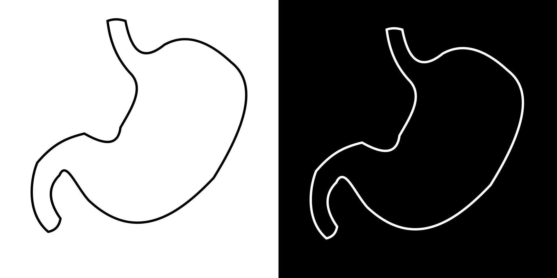 desenho vetorial de contorno do estômago humano. ilustração com linhas simples vetor