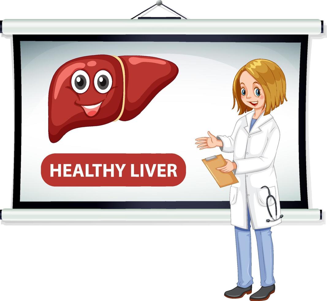 um personagem de desenho animado médico explicando o fígado saudável vetor