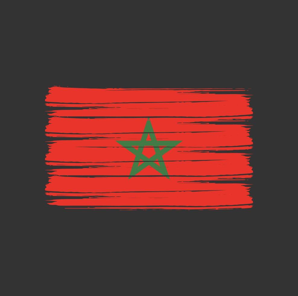 escova de bandeira de Marrocos vetor