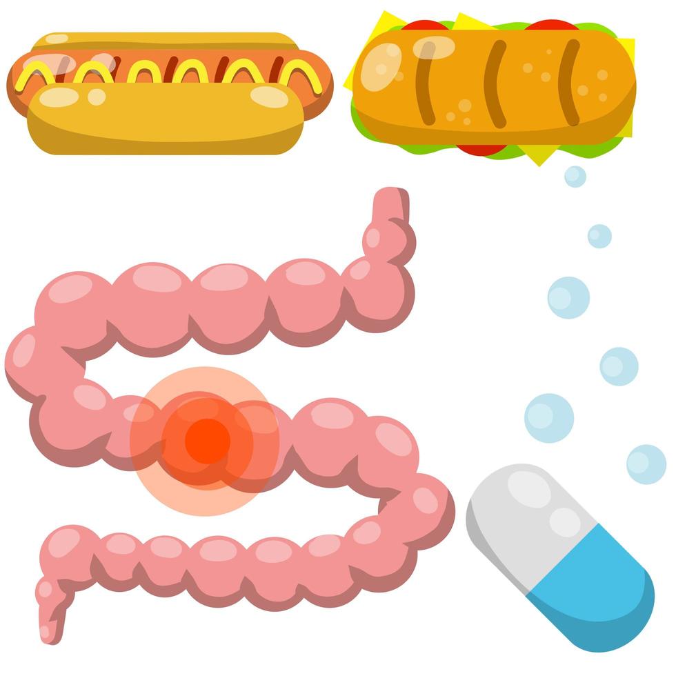 intestino. vetor sistema digestivo humano. pílula médica para indigestão.