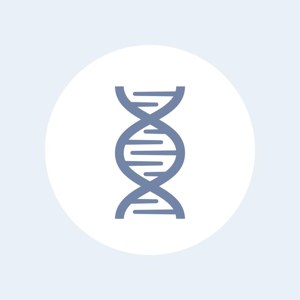 ícone de cadeia de DNA sobre branco, pesquisa genética, símbolo de genética, ilustração vetorial vetor