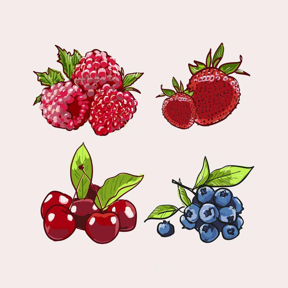 conjunto de vetores desenhados à mão berry. ilustração de marcador colorido de baga. bagas de gravura doodle linha de esboço. framboesa, morango, mirtilo cereja no produto natural de fazenda saudável background.dessert branco.