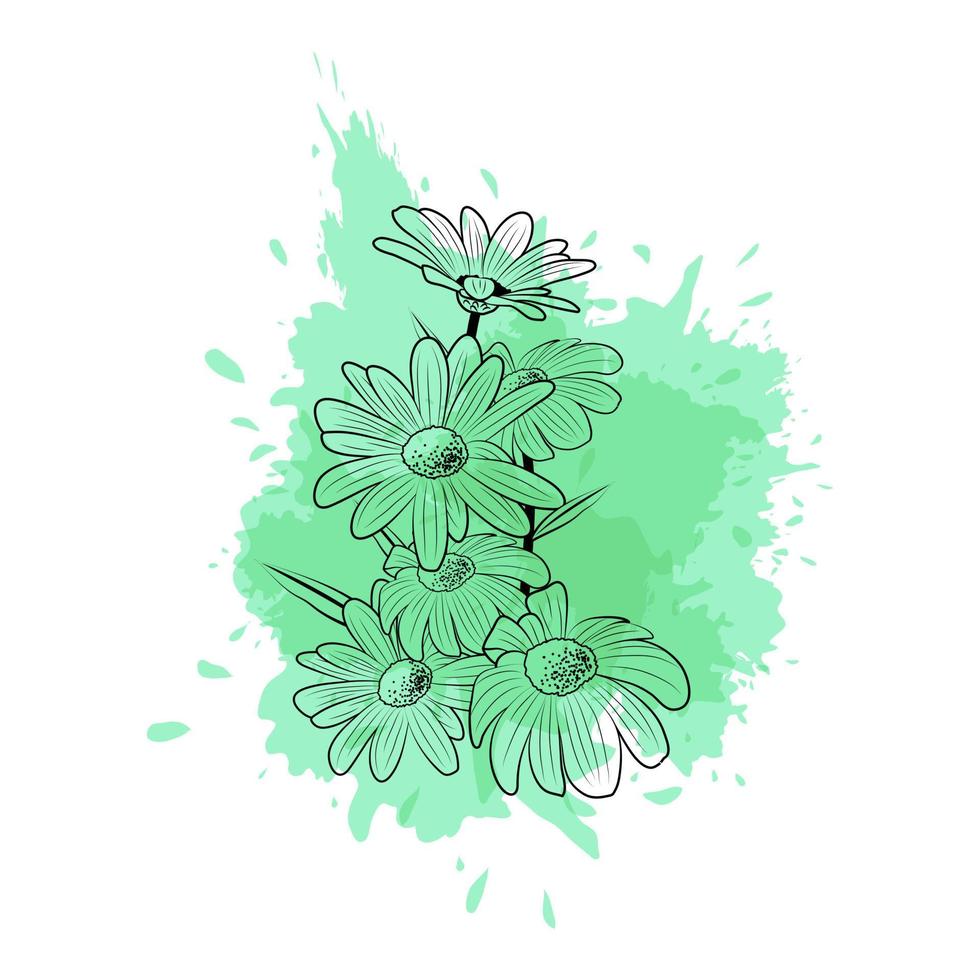 contorno de flores de margarida em um fundo verde aquarela vetor