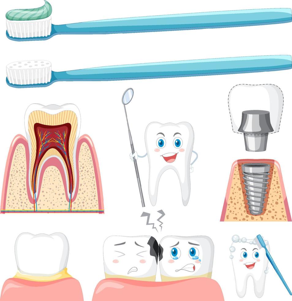 conjunto de todos os tipos de dentes com equipamento de limpeza dental em fundo branco vetor