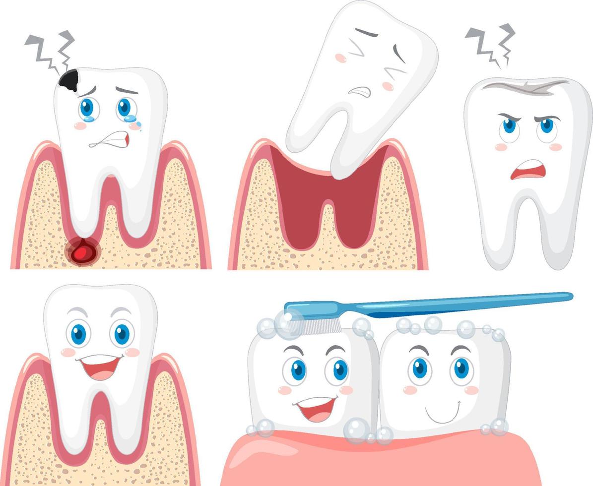 conjunto de todos os tipos de dentes em fundo branco vetor