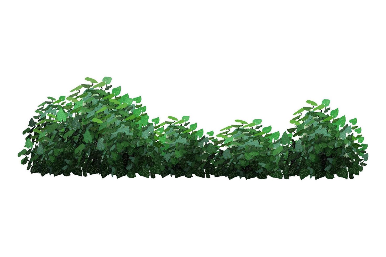 ilustração em vetor de arbustos verdes.