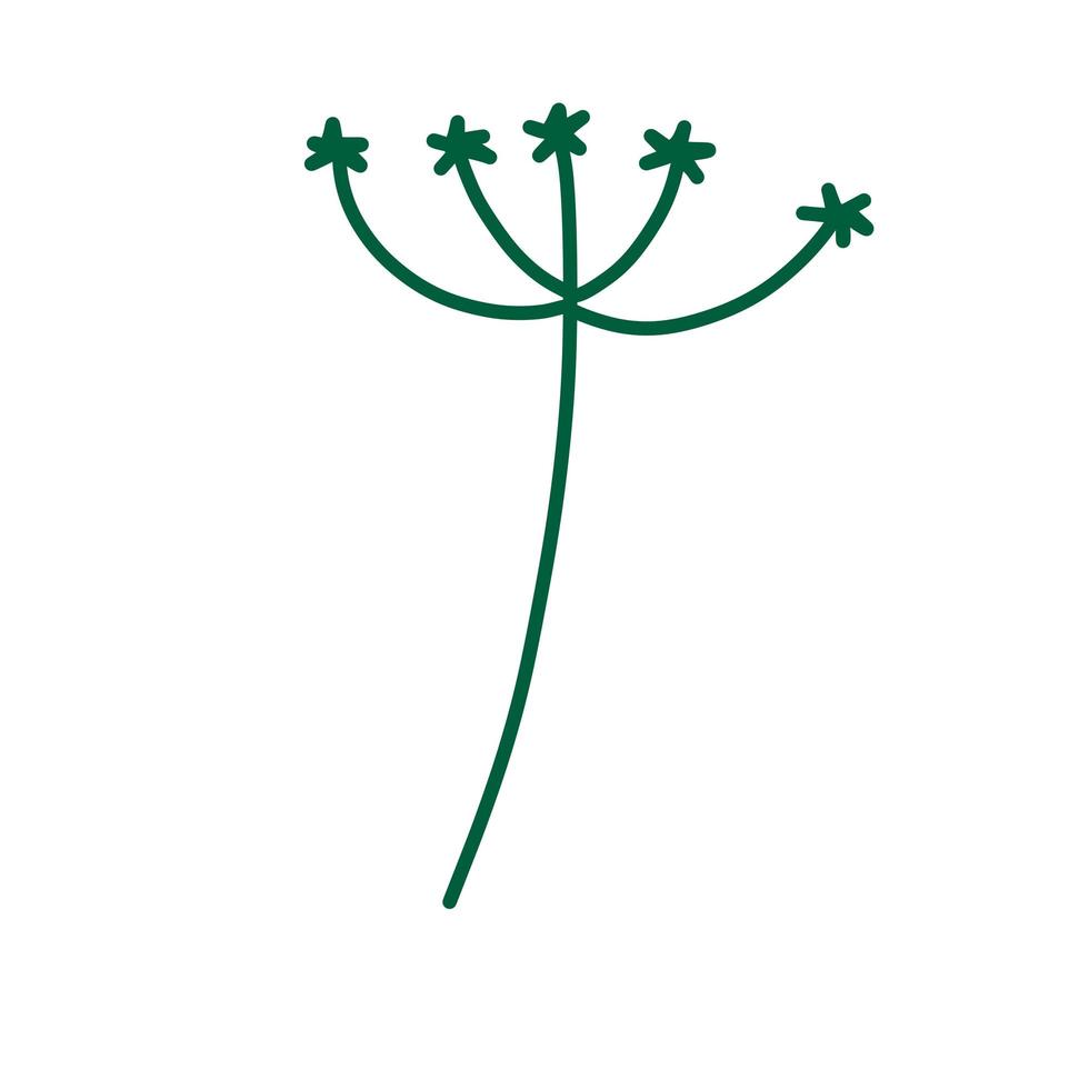 endro em estilo doodle. planta verde de prado e especiarias. grama natural simples vetor