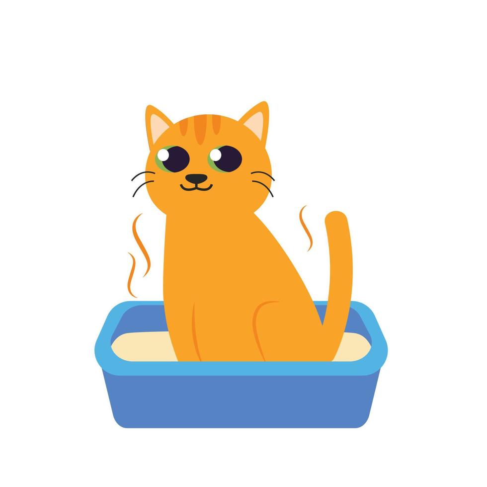 gato fazendo cocô na ilustração vetorial de caixa de areia vetor