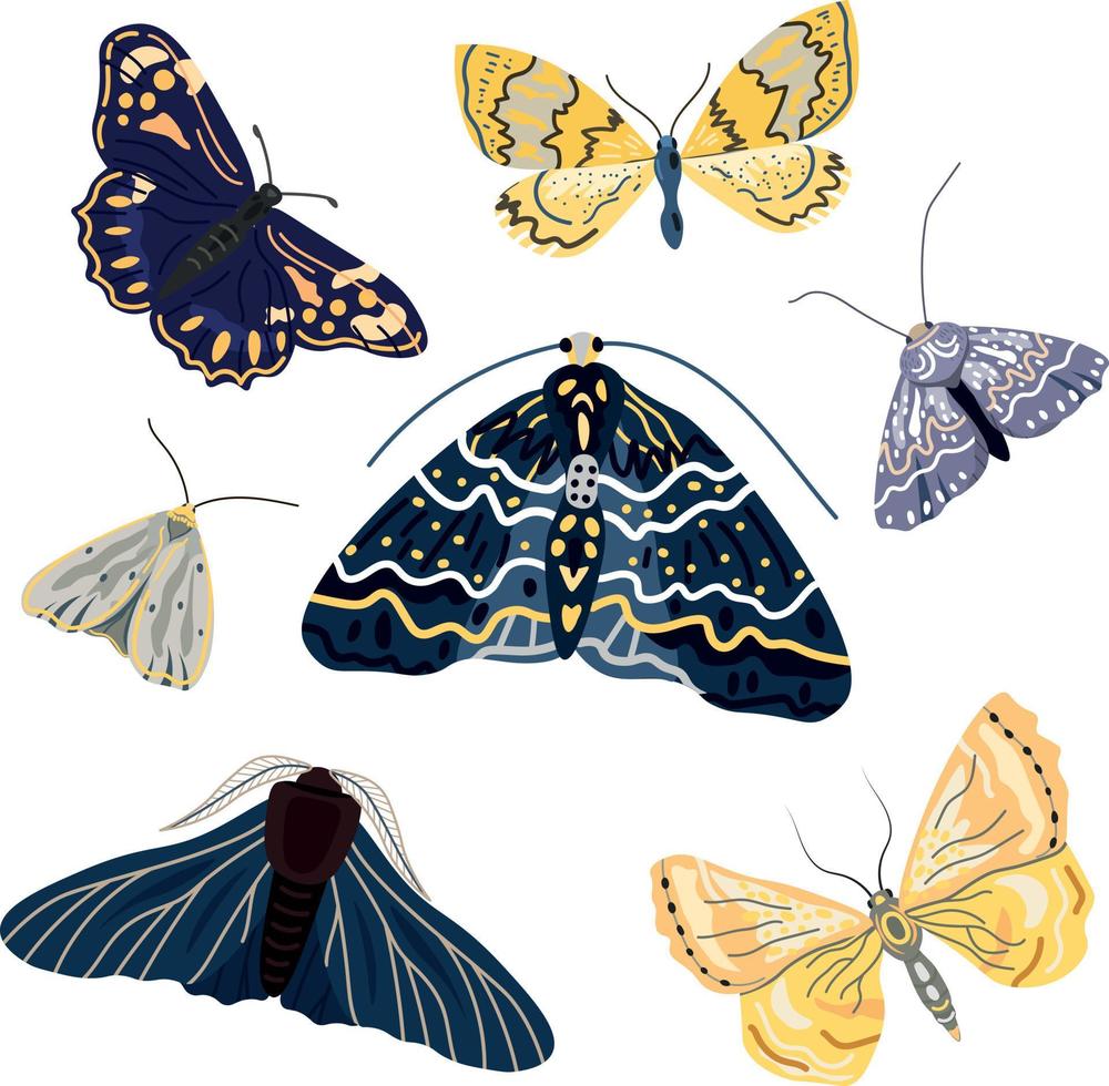 definir ilustrações de borboletas e mariposas boho vetor