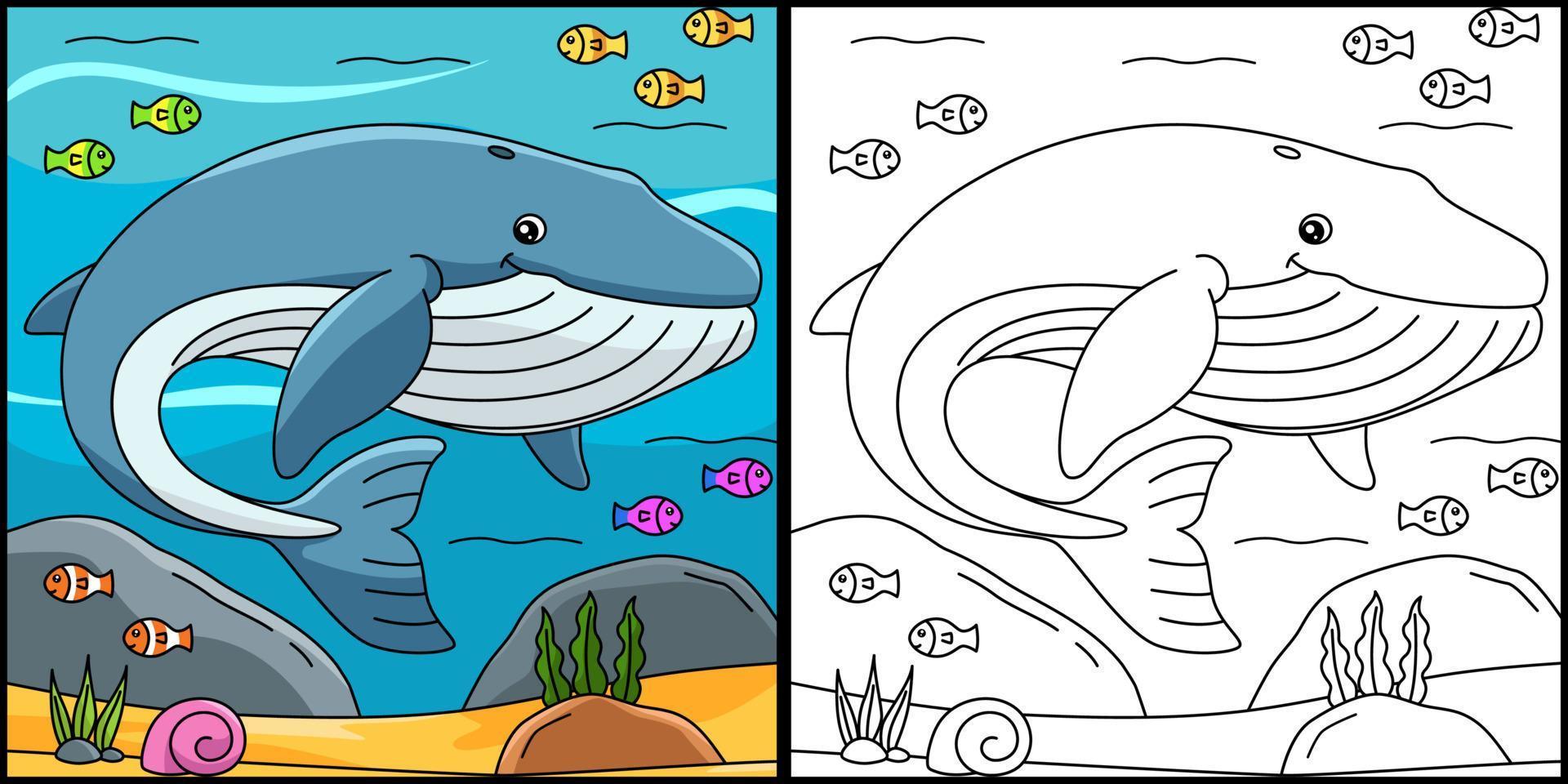 ilustração de página para colorir de baleia azul vetor