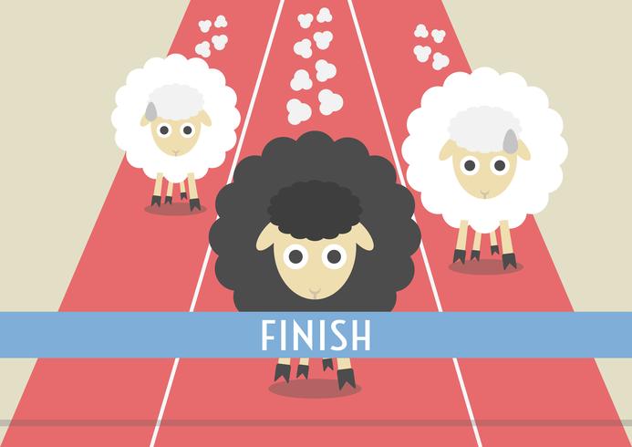 competição de ovelhas vetor