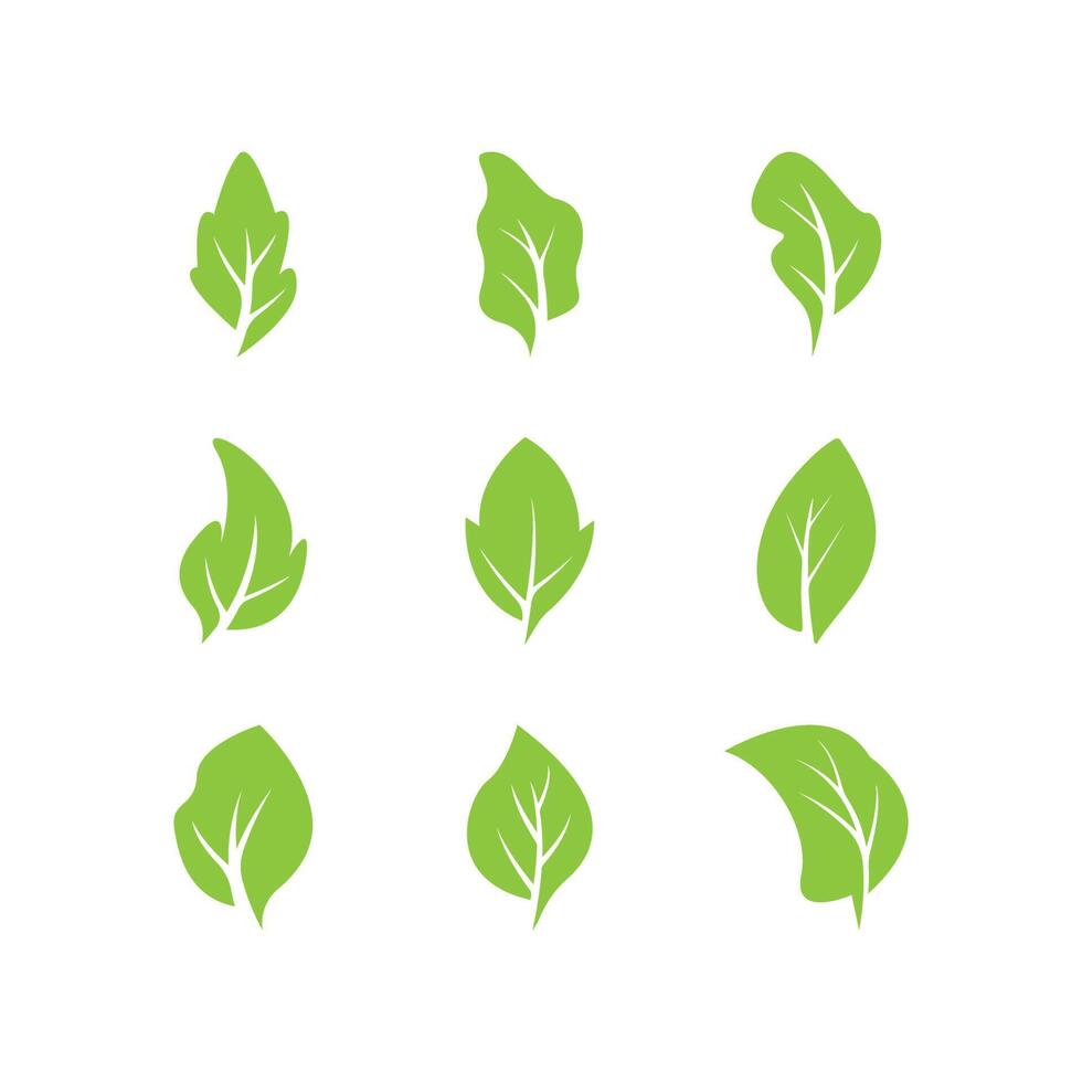 logotipo de folhas verdes.conjunto de ícones de folha verde modelo de vetor