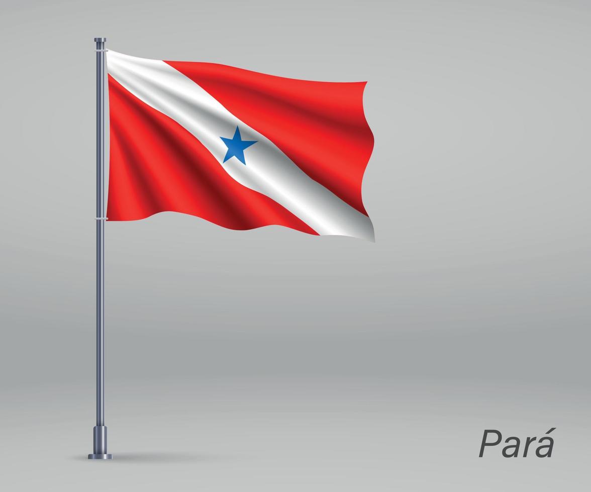 acenando a bandeira do Pará - estado do brasil no mastro. modelo para vetor