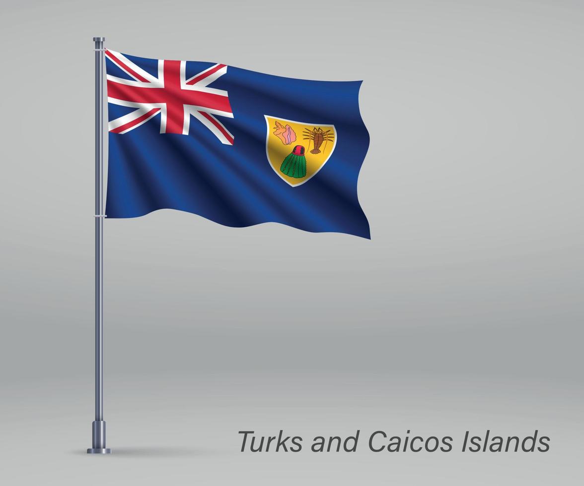 bandeira das ilhas turcas e caicos - território do ki unido vetor