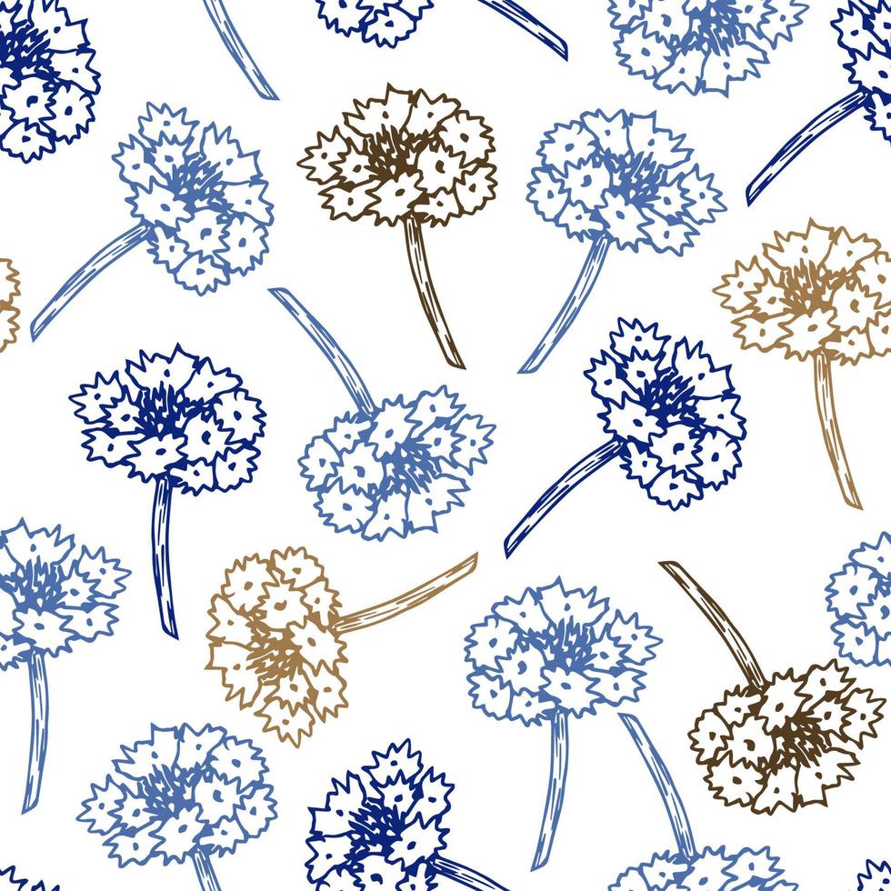 padrão sem emenda de vetor floral delicado em estilo rural. flores de contorno azul, marrom desenhadas à mão de knapweed em um fundo branco. para estampas de tecidos, produtos têxteis, embalagens, papel, roupas.