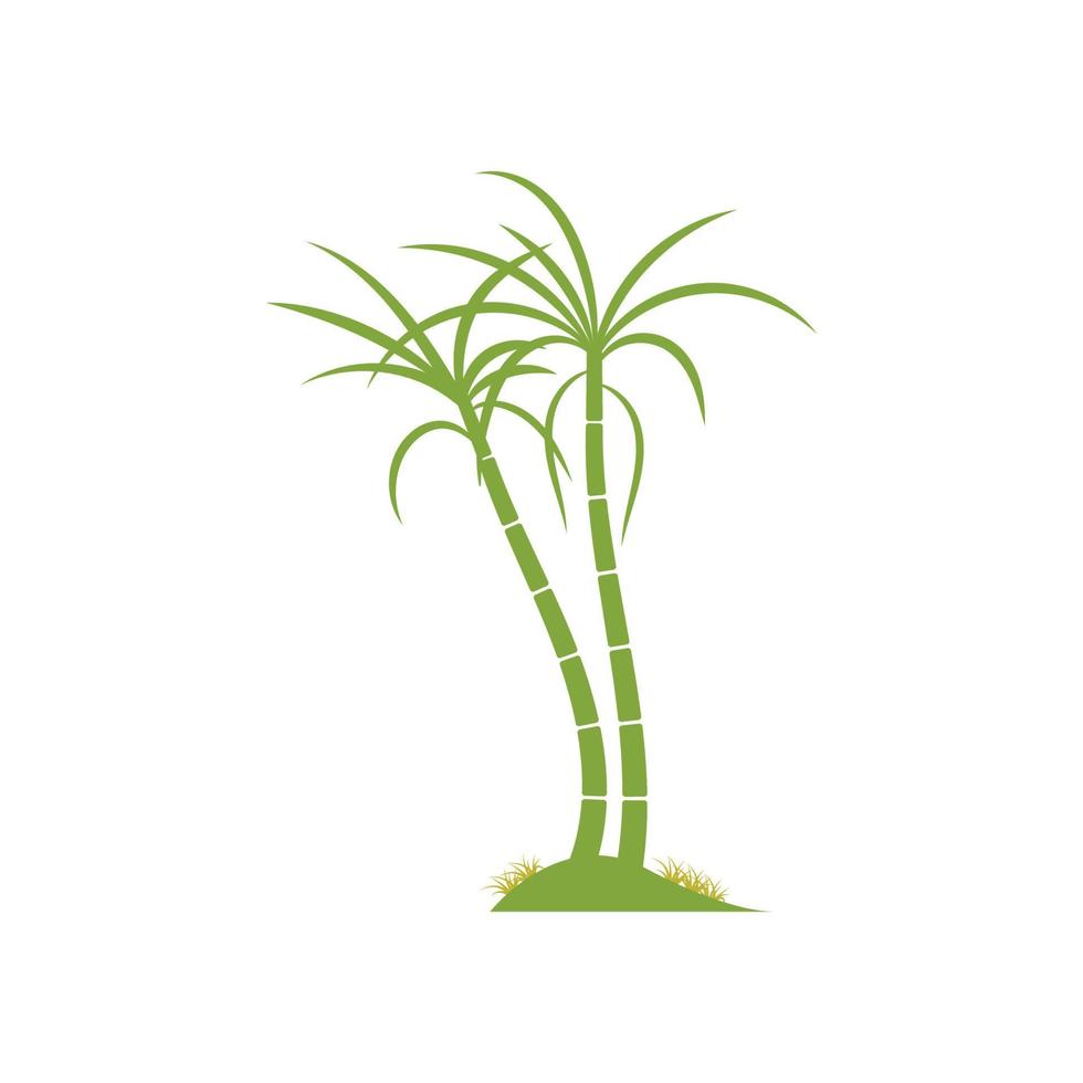 design de ilustração vetorial de logotipo de planta de cana-de-açúcar vetor