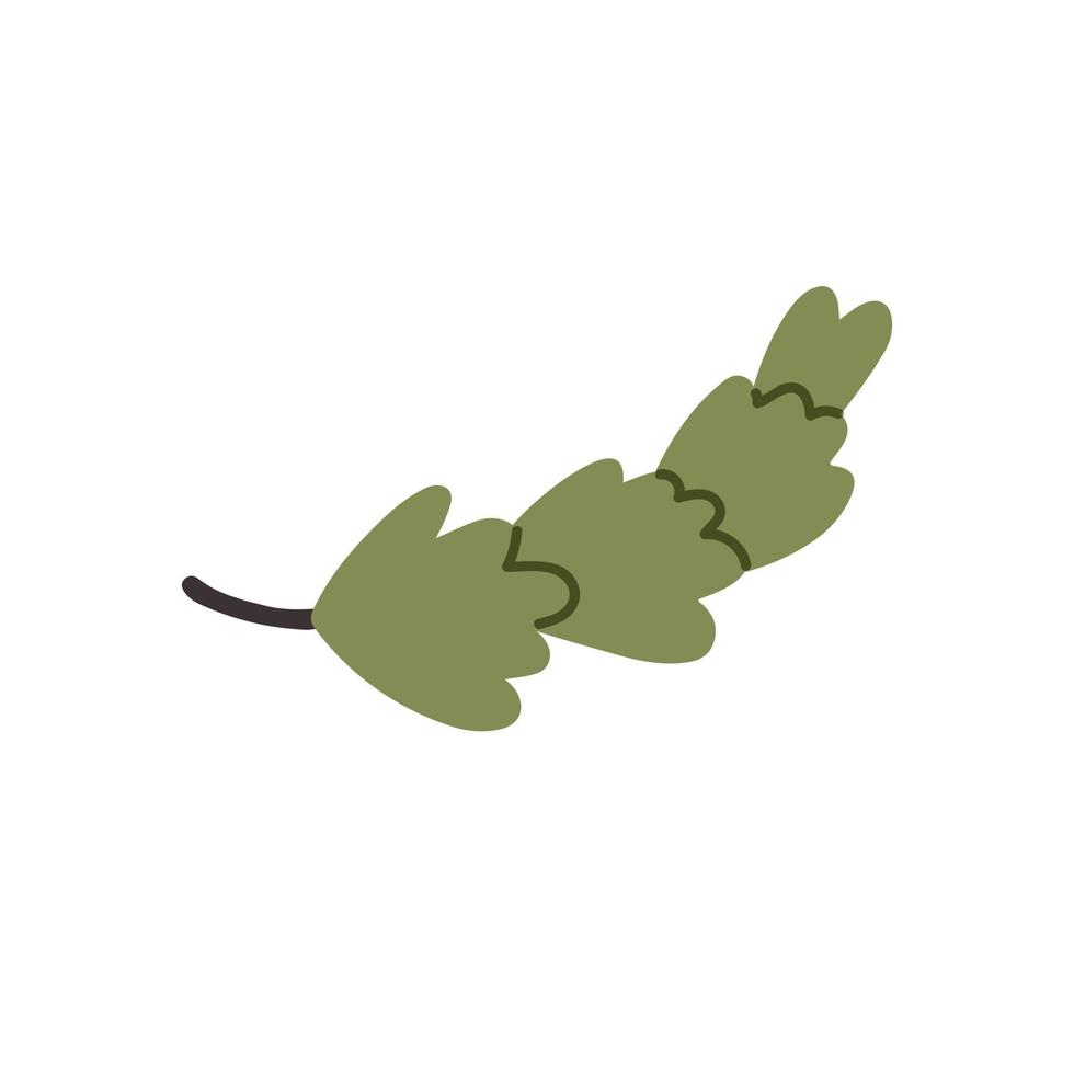 ramo de abeto fofo verde vetor