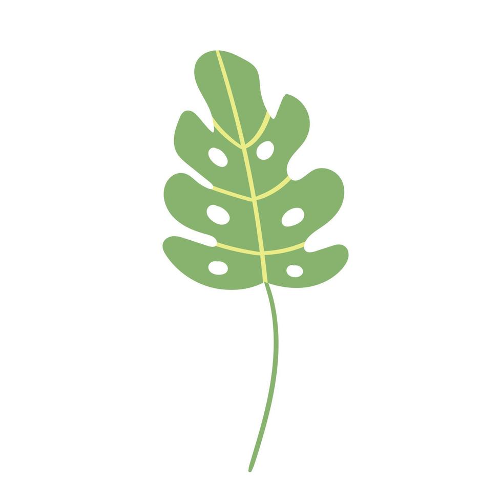 folha tropical verde desenhada à mão vetor