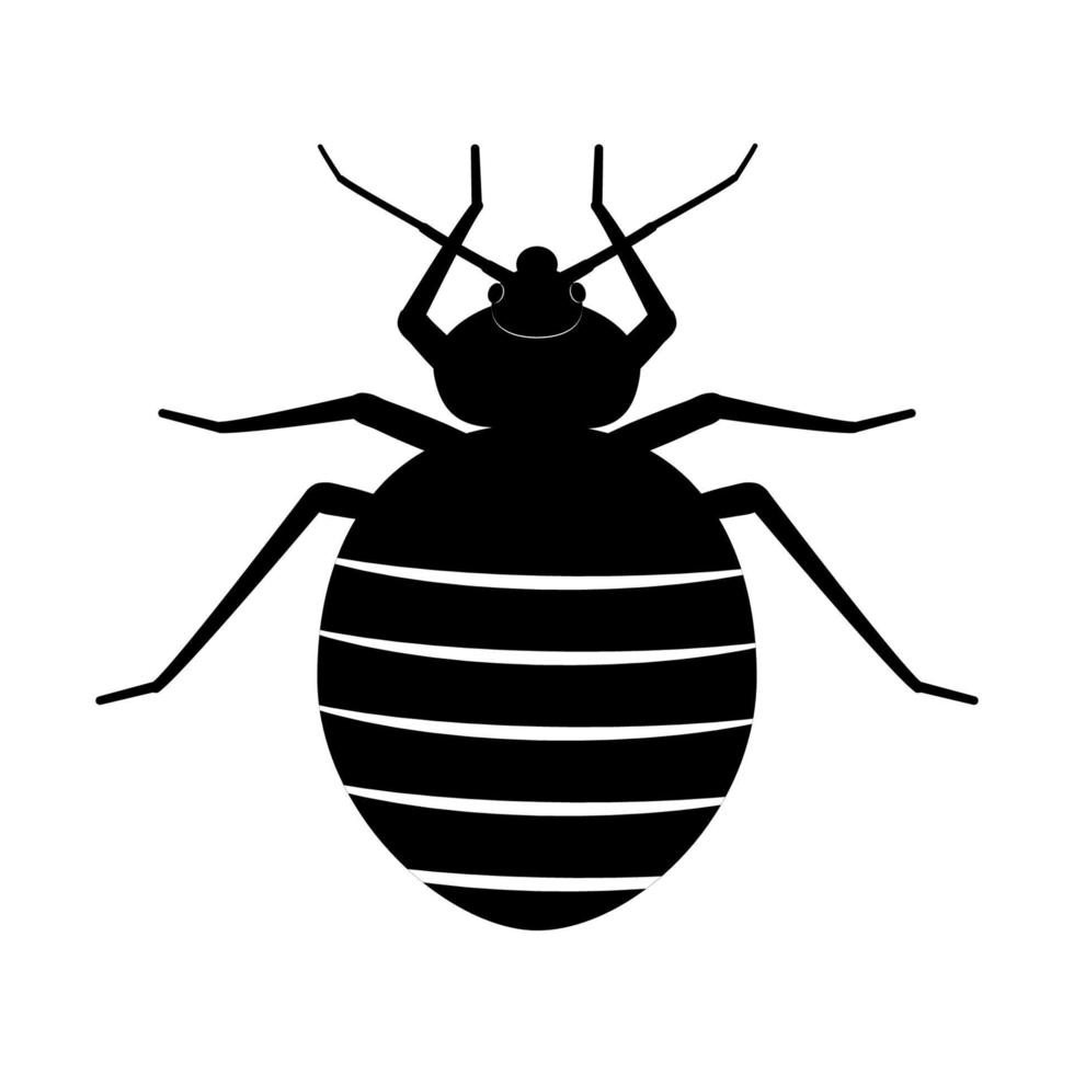 percevejo de cama. silhueta preta de um inseto em um fundo branco. ilustração vetorial de percevejos. um símbolo do perigo de uma picada de inseto. vetor