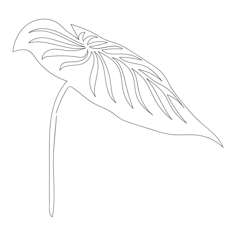 uma folha de palmeira de desenho de linha isolada no fundo branco. elegantes linhas finas. ilustração vetorial. vetor