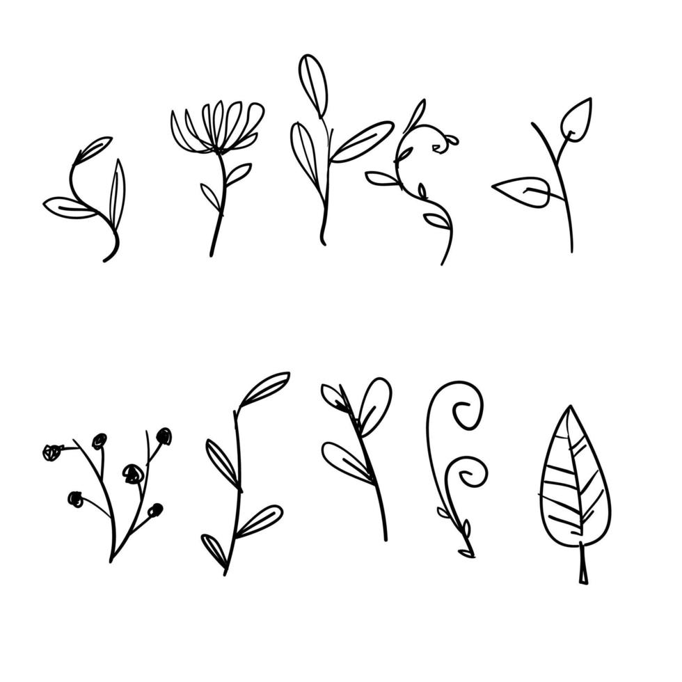 doodle ilustração de conjunto de ervas e florescimento no estilo desenhado à mão dos desenhos animados vetor