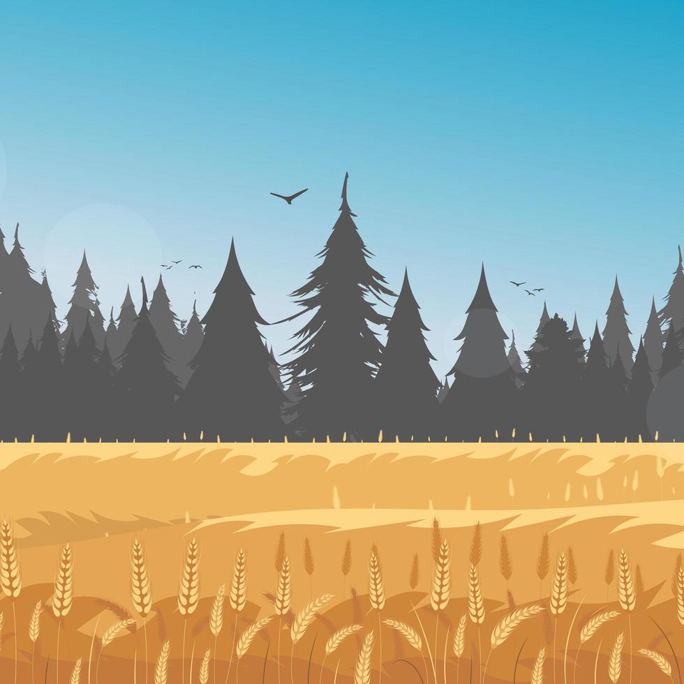 paisagem rural com campo de trigo e o céu azul no fundo. ilustração vetorial. vetor