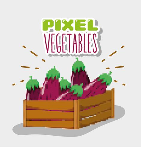 Desenhos animados de legumes de pixel vetor