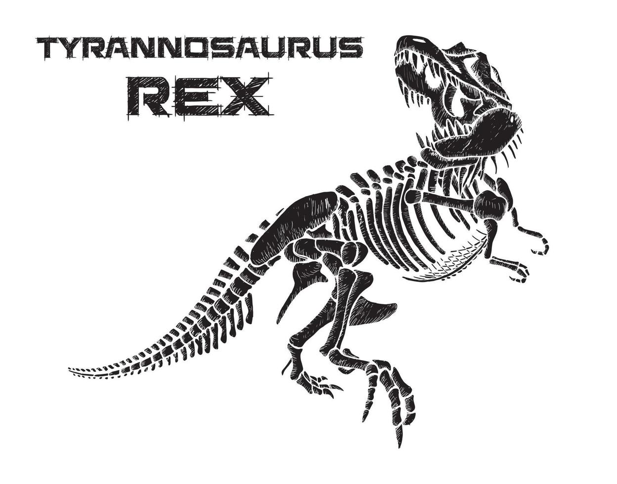 Tiranossauro rex esqueleto mão desenhada ilustração vetorial no fundo branco vetor