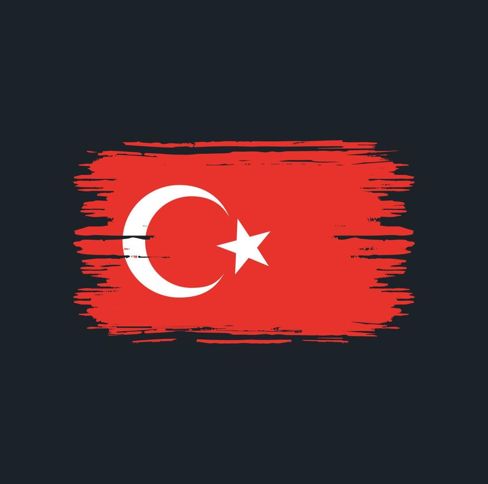 escova de bandeira da turquia. bandeira nacional vetor